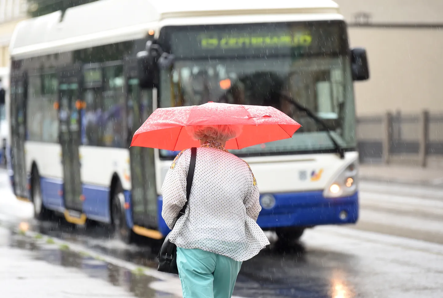 Raksta foto