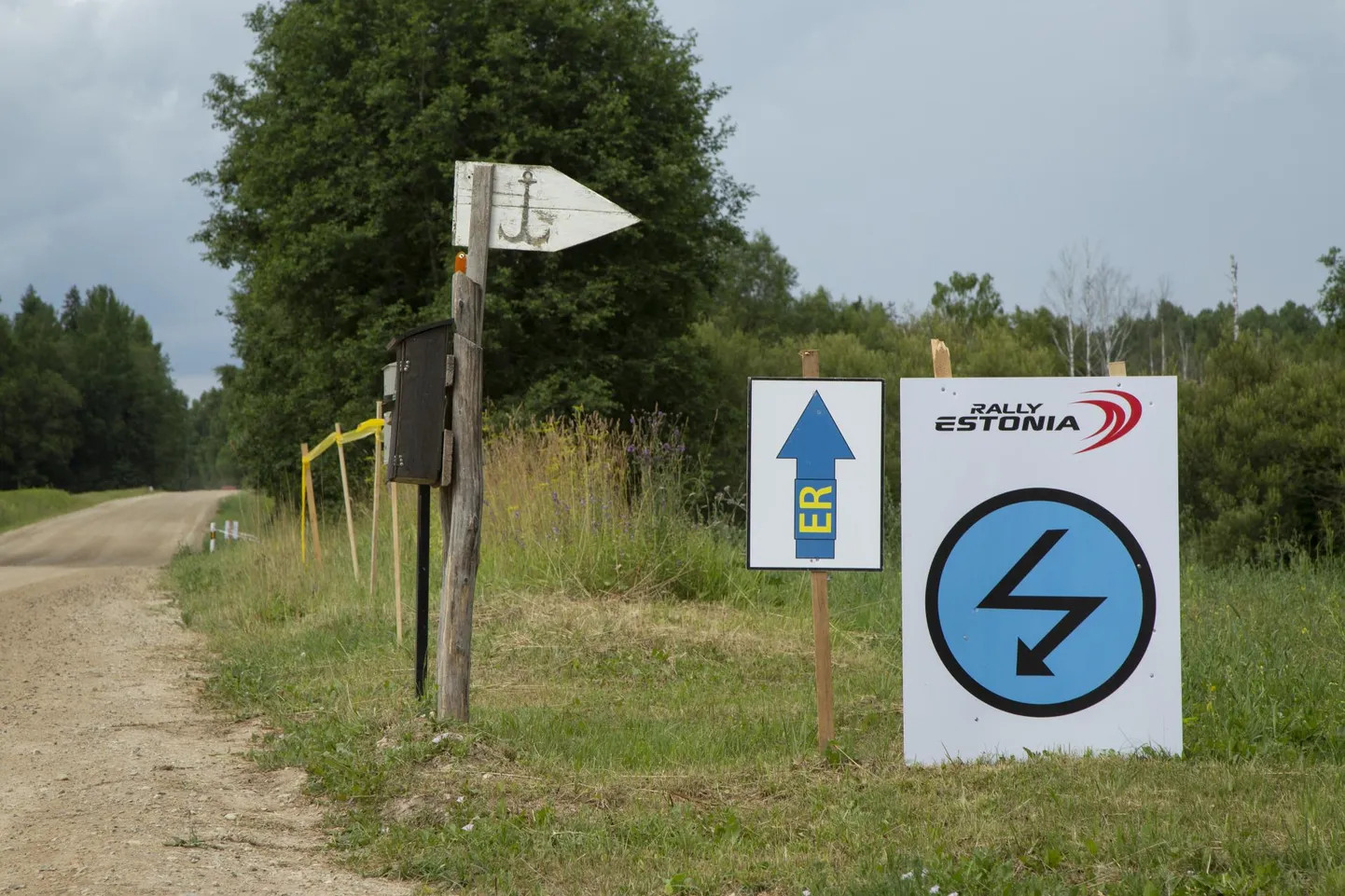 Rally Estonia rajalõik Neerutis