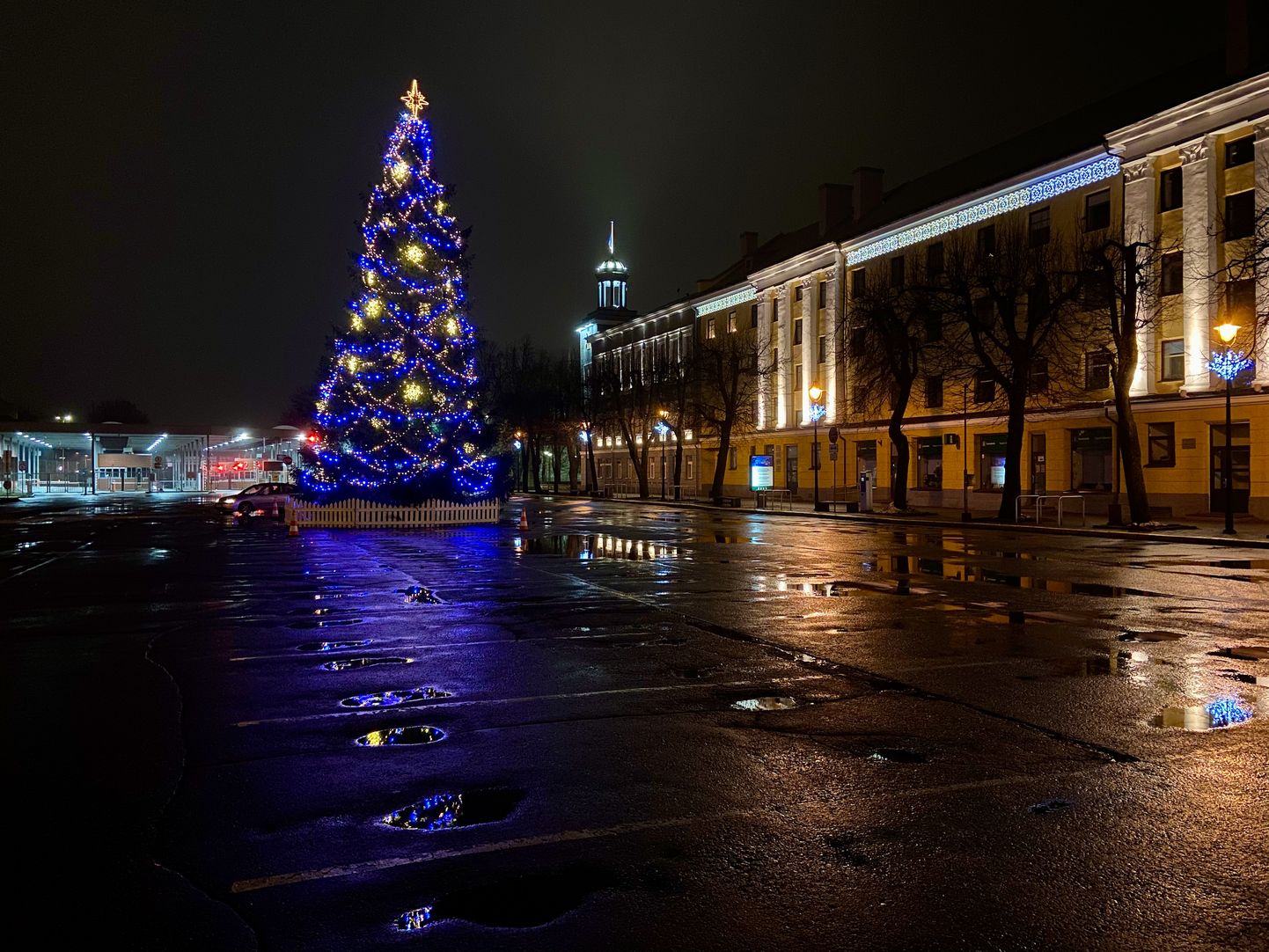 Рождественская ель на Петровской площади Нарвы в конце 2020 года.