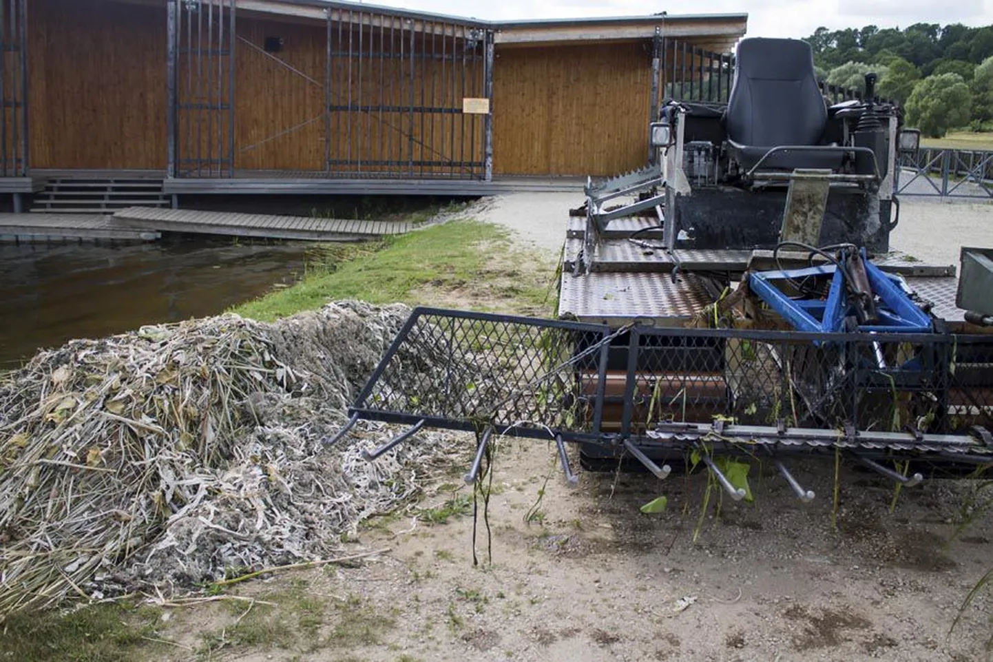 Eelmisest nädalast Viljandi järvel töötanud niiduk puhastas järve põhja eilegi ning tõi niidetud vesikasvud kaldale.