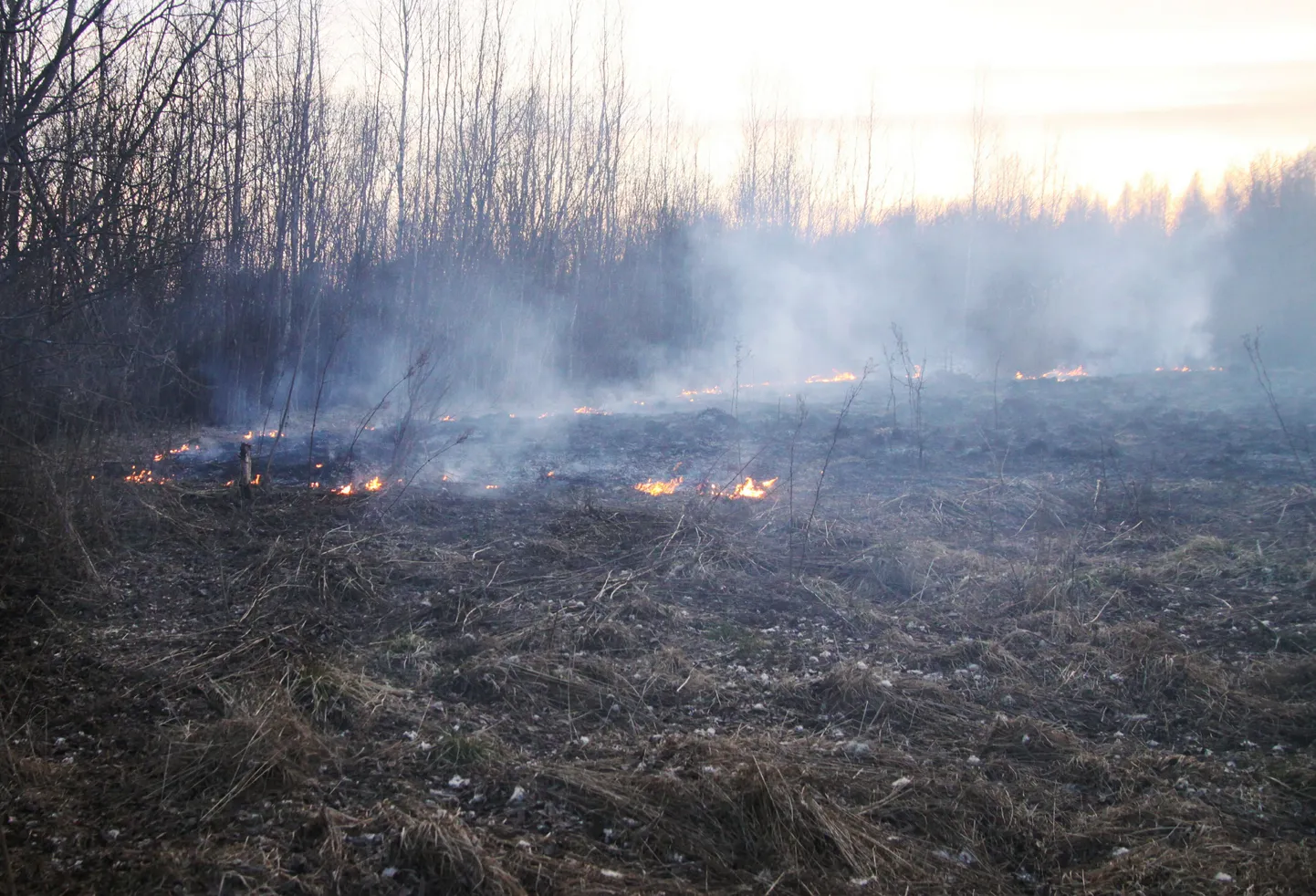 Kulupõleng. Foto on illustreeriv.