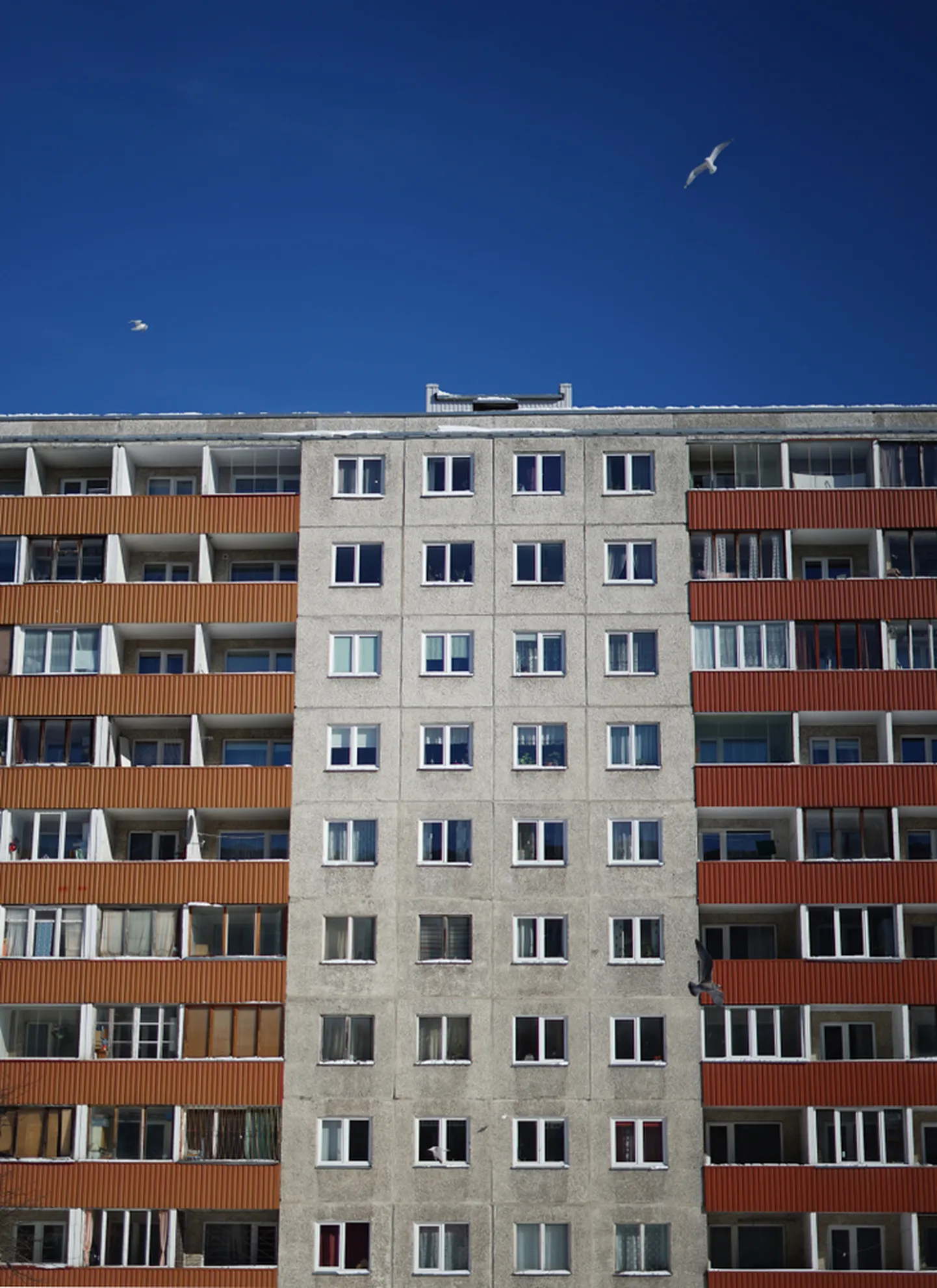 Lugeja küsib, konsultant vastab.