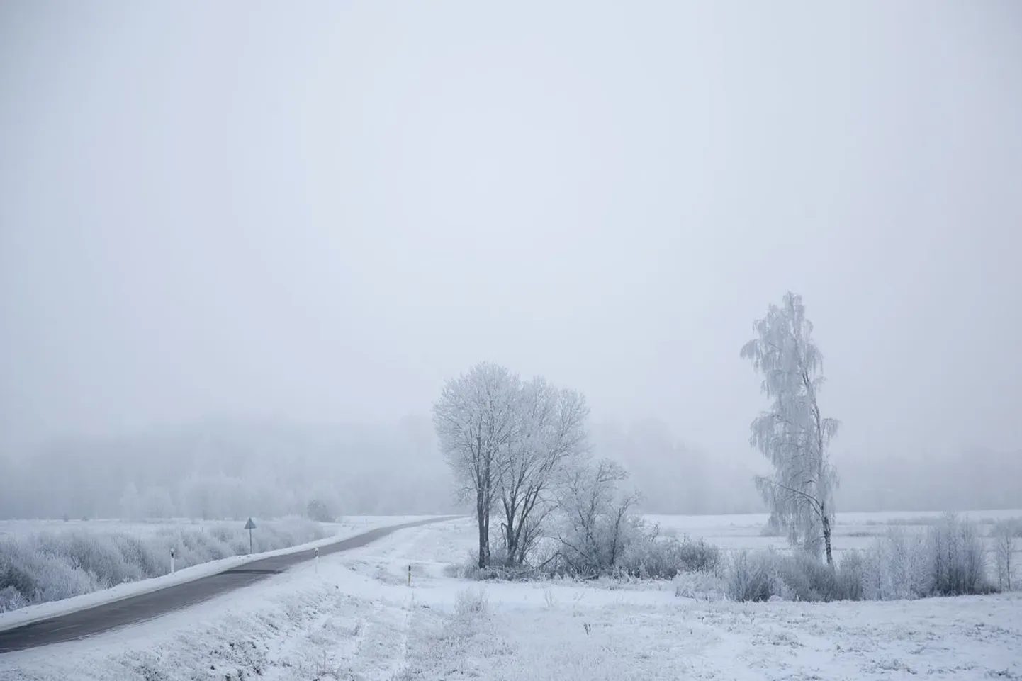 Artikli foto