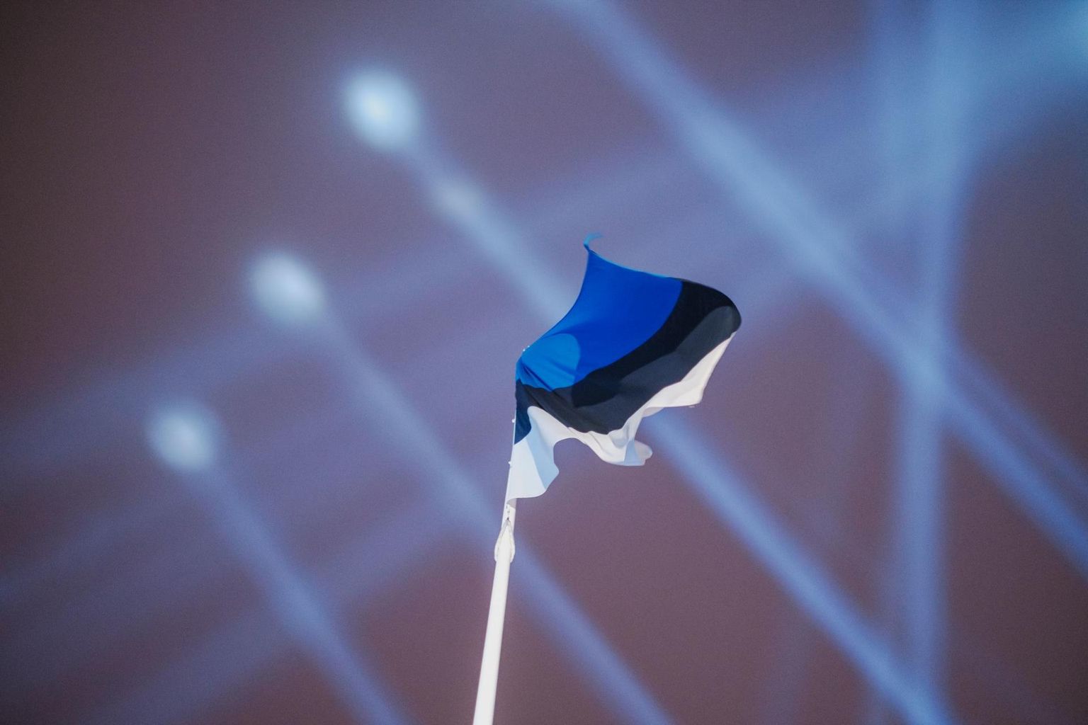 Фото со светопредставления в день103-ей годовщины независимости Эстонии.