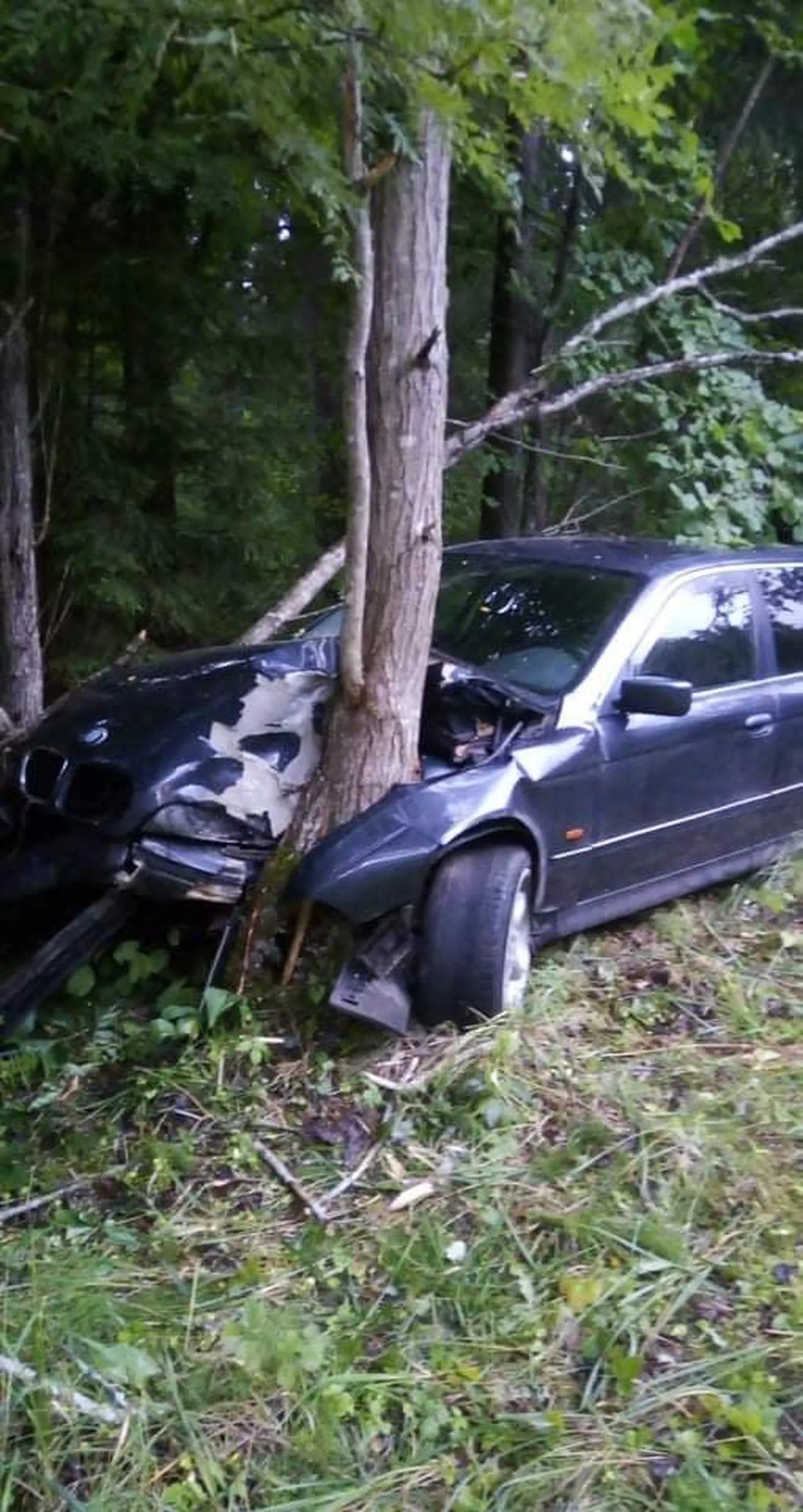 Автомобиль BMW въехал в дерево. Фото иллюстративное.