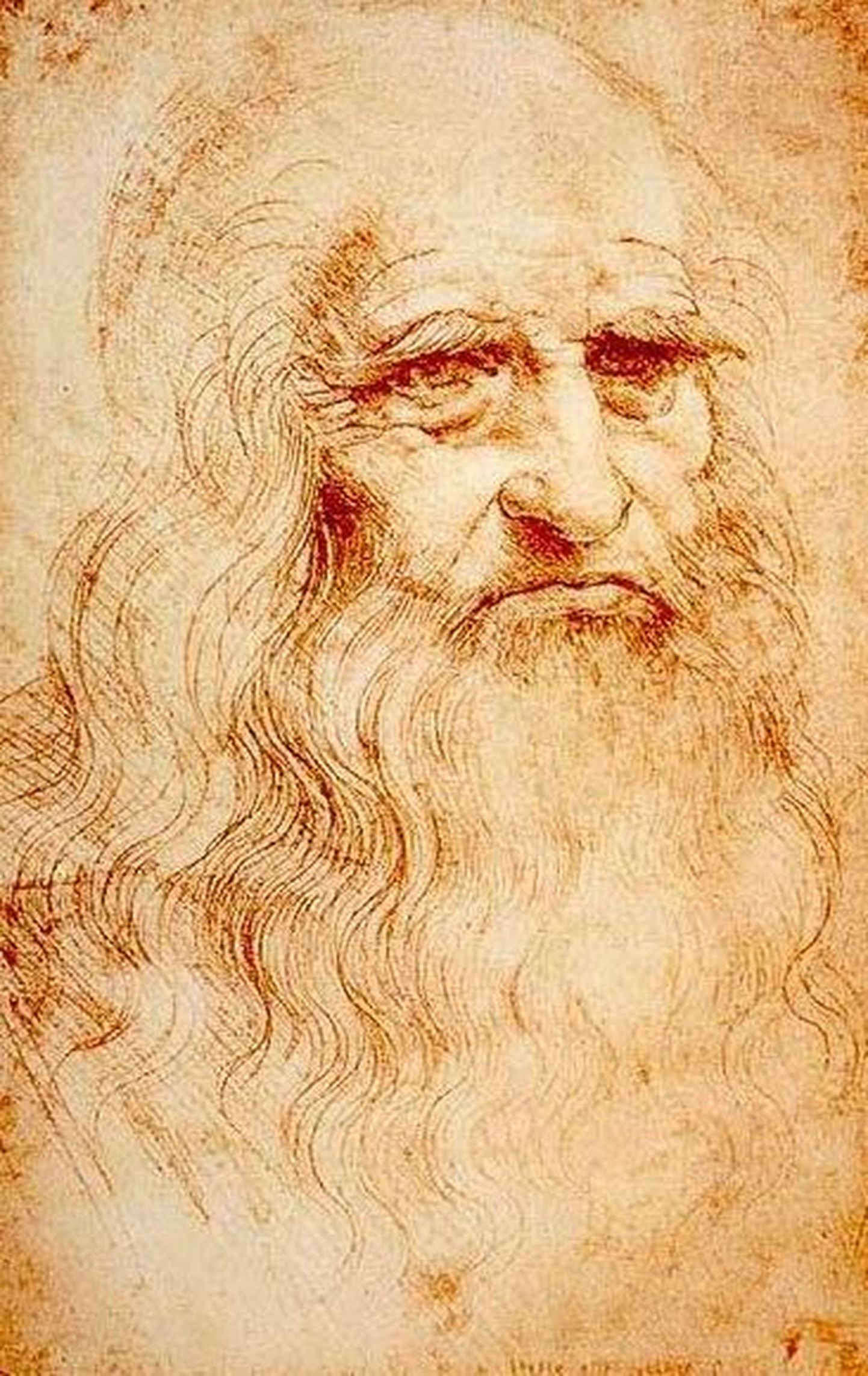 Leonardo da Vinci autoportree