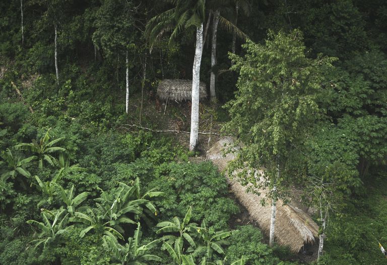 Helikopterilt tehtud foto Amazonase ühe põlishõimu elukohast