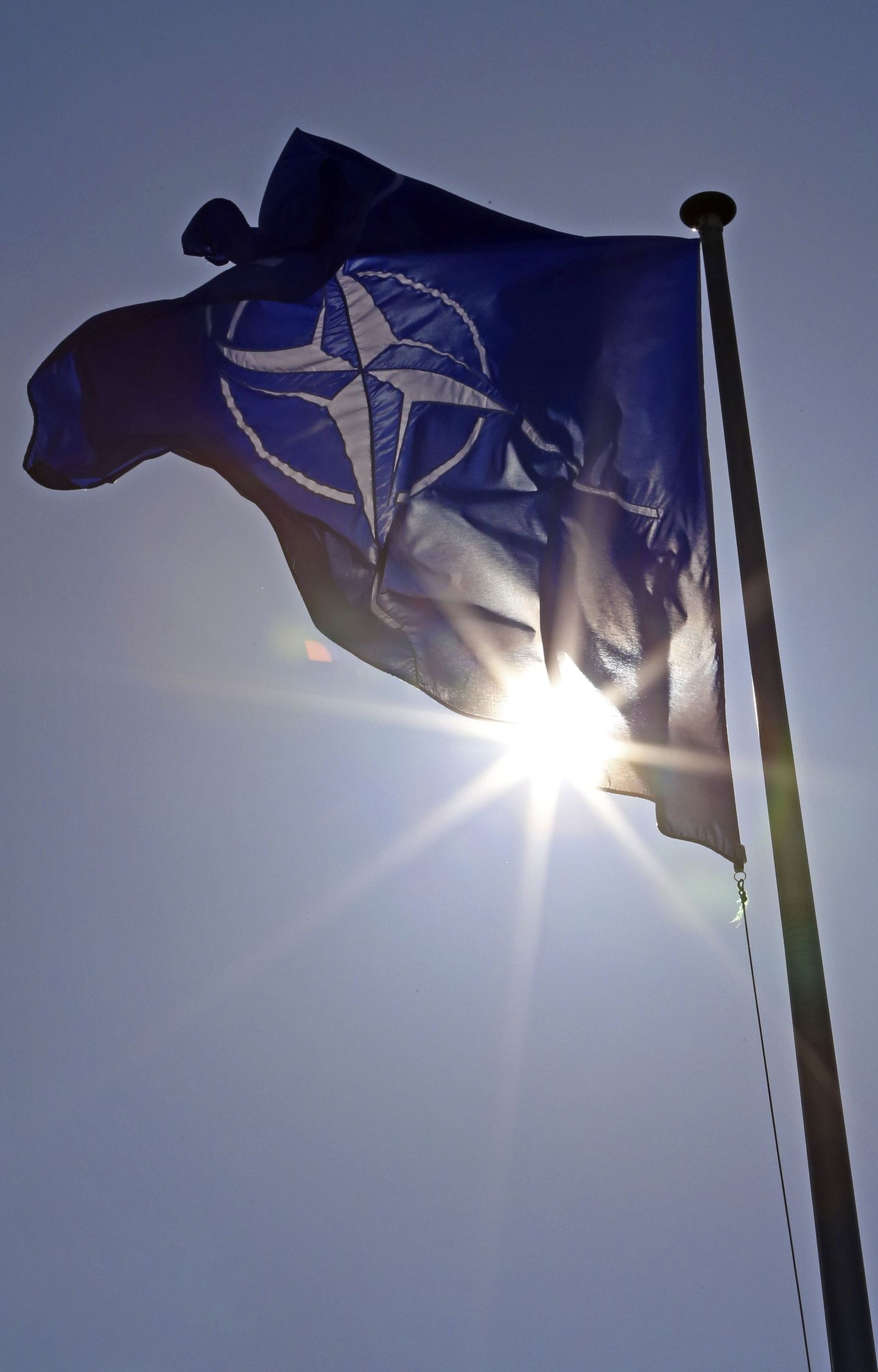 NATO lipp