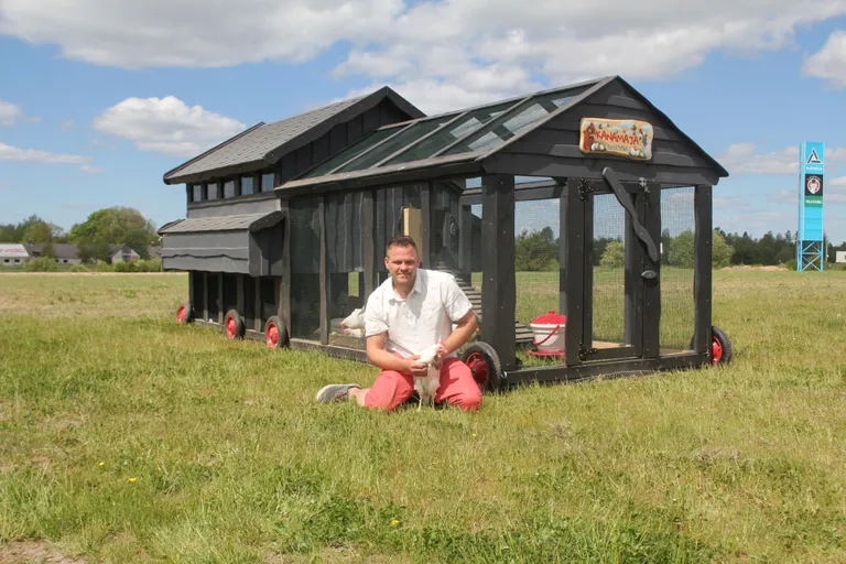 Tikupoisi restorani juhatav Tanel Teas on tähele pannud, et kanu ei käi huviga vaatamas mitte ainult lapsed, vaid ka täiskasvanud.