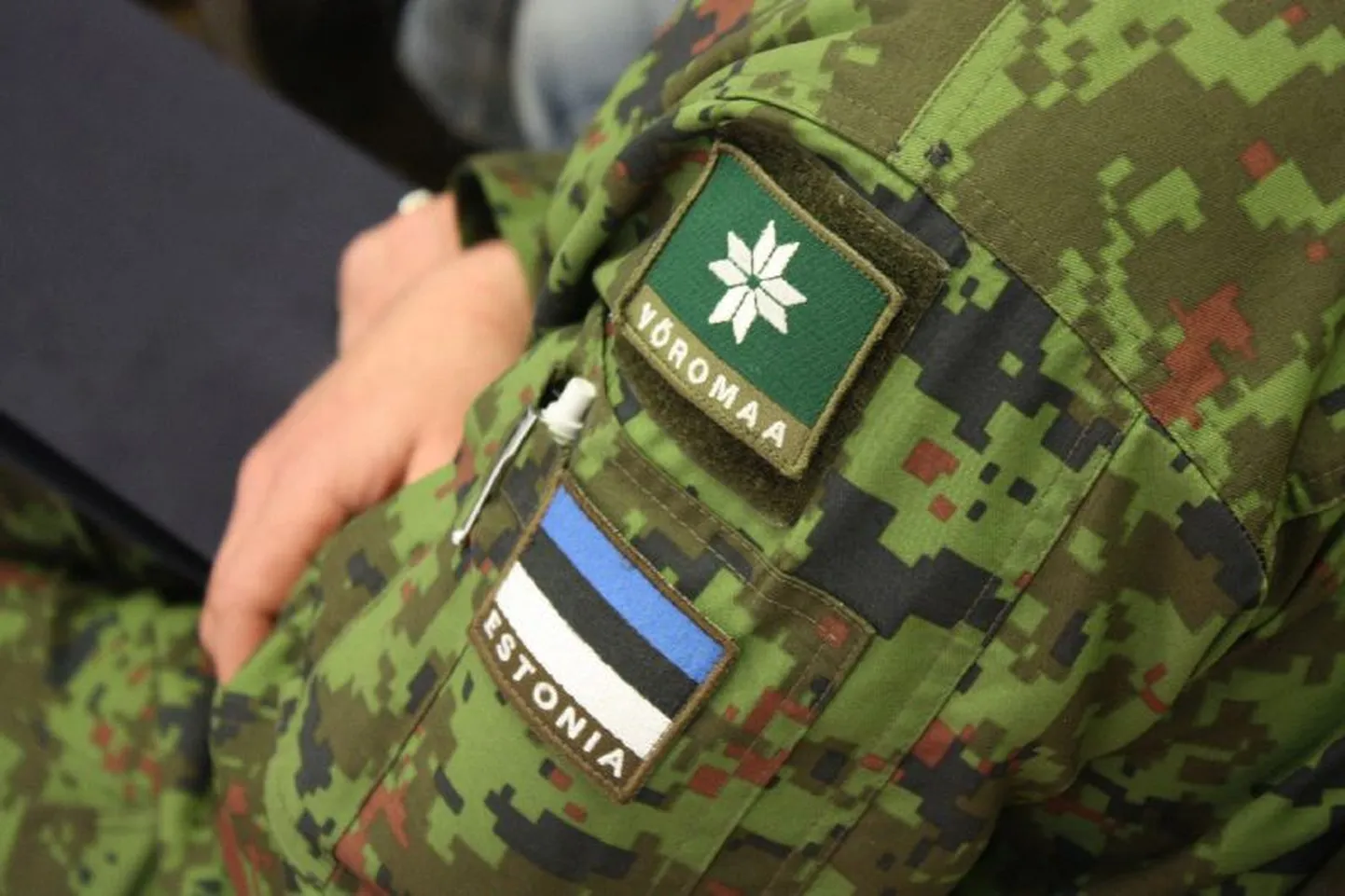 Võrumaa kaitseliitlaste tunnusmärk.
