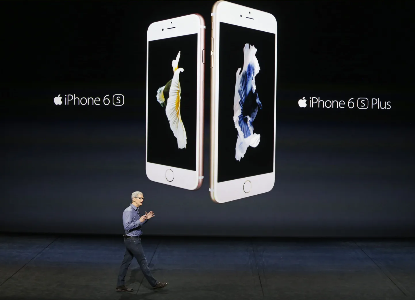 Tim Cook Apple 6 telefone tutvustamas