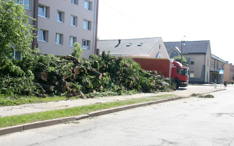 В пятницу в полдень на обочине еще возвышалась груда деревьев, убрать ее обещали к вечеру.