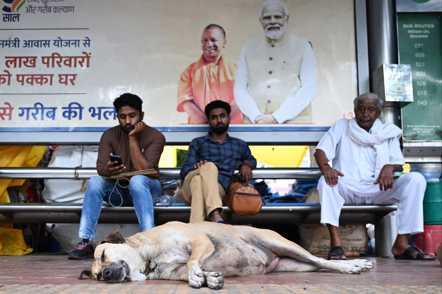 Kodutu koer New Delhi bussipeatuses pikutamas. 4. august 2023.