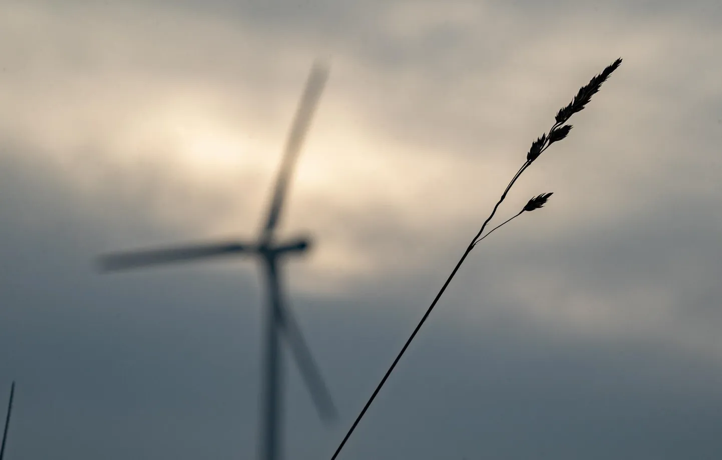 Wind energy park in Viru-Nigula, Lääne-Viru county.