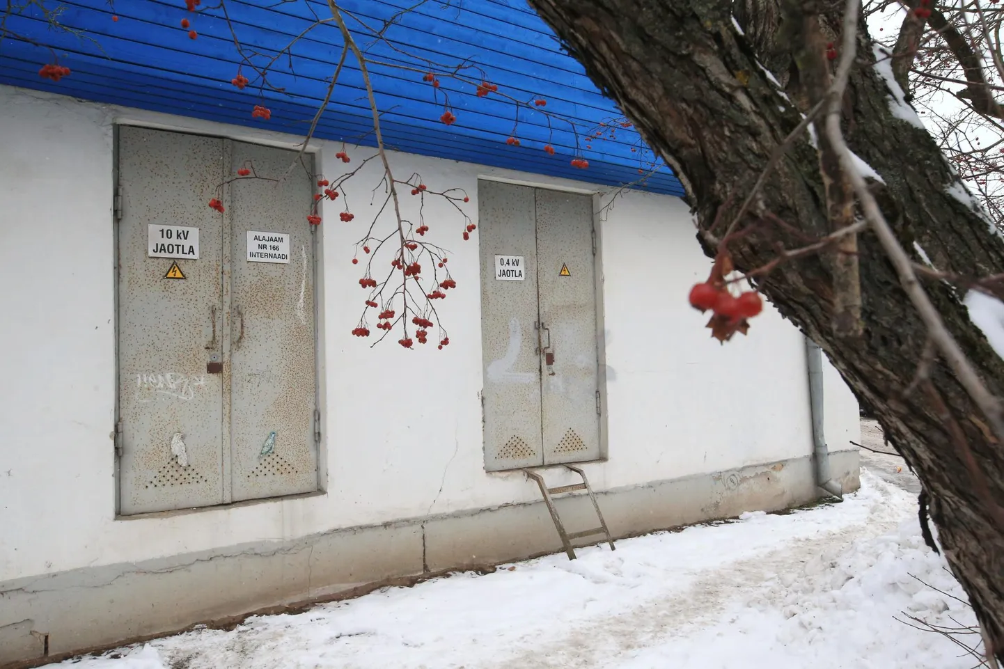 Elektrikatkestuse tekitas keskpingekaabli vigane otsamuhv Roosi tänava alajaamas aadressil Roosi 2a.