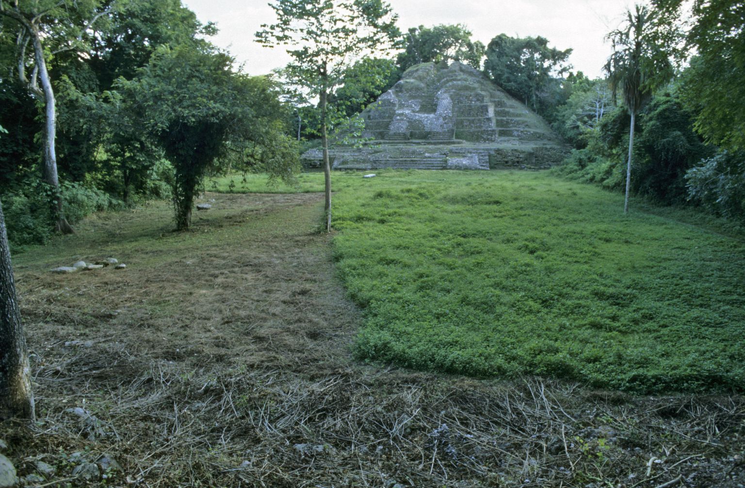 Maiade püramiid ja tee