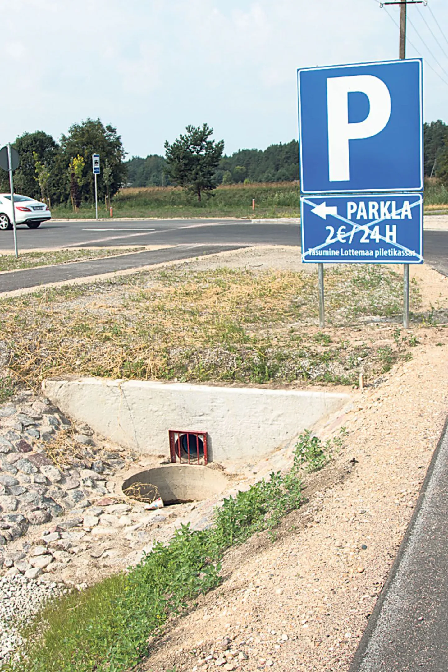 Artikli foto