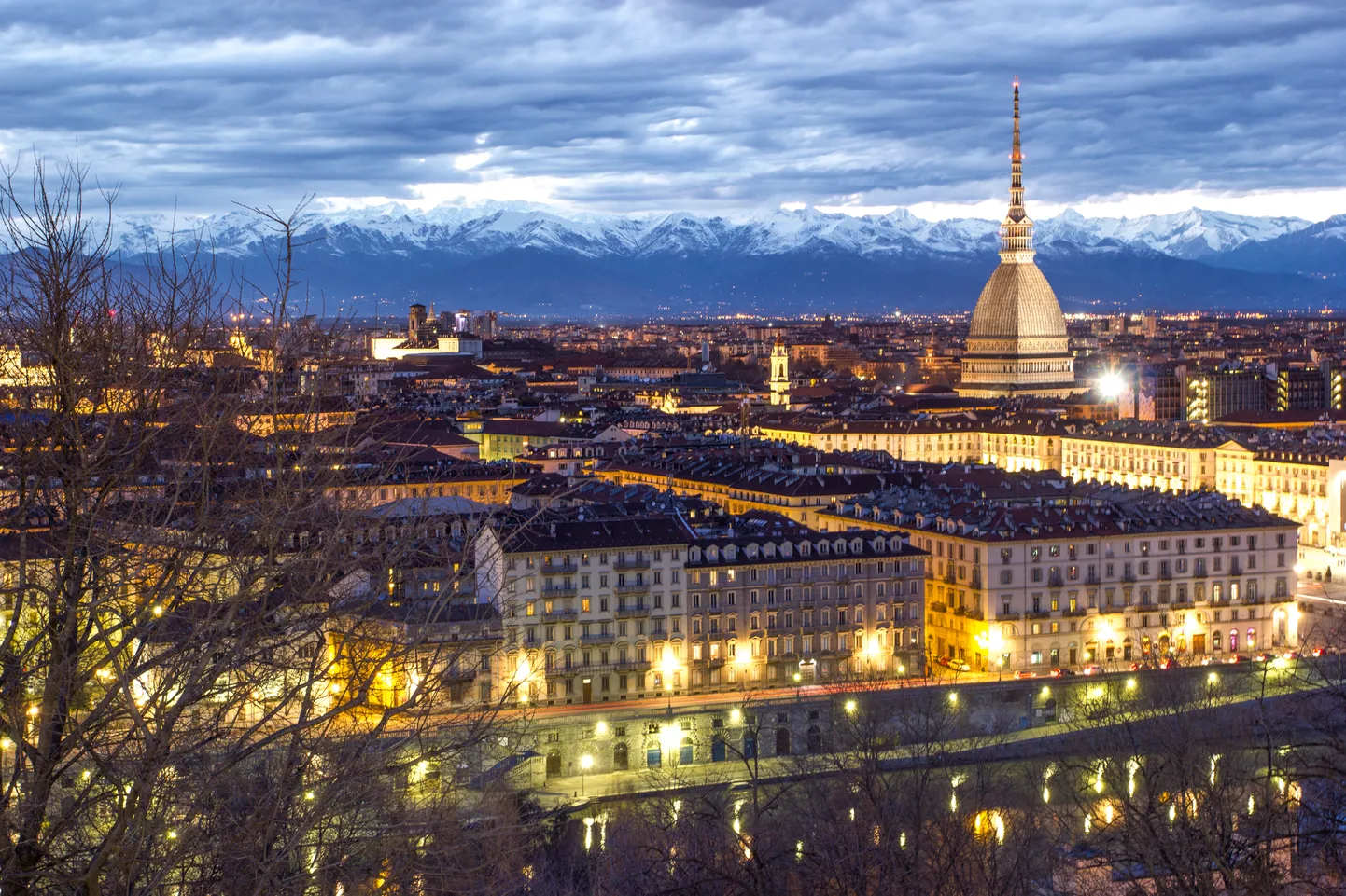 Turini linn