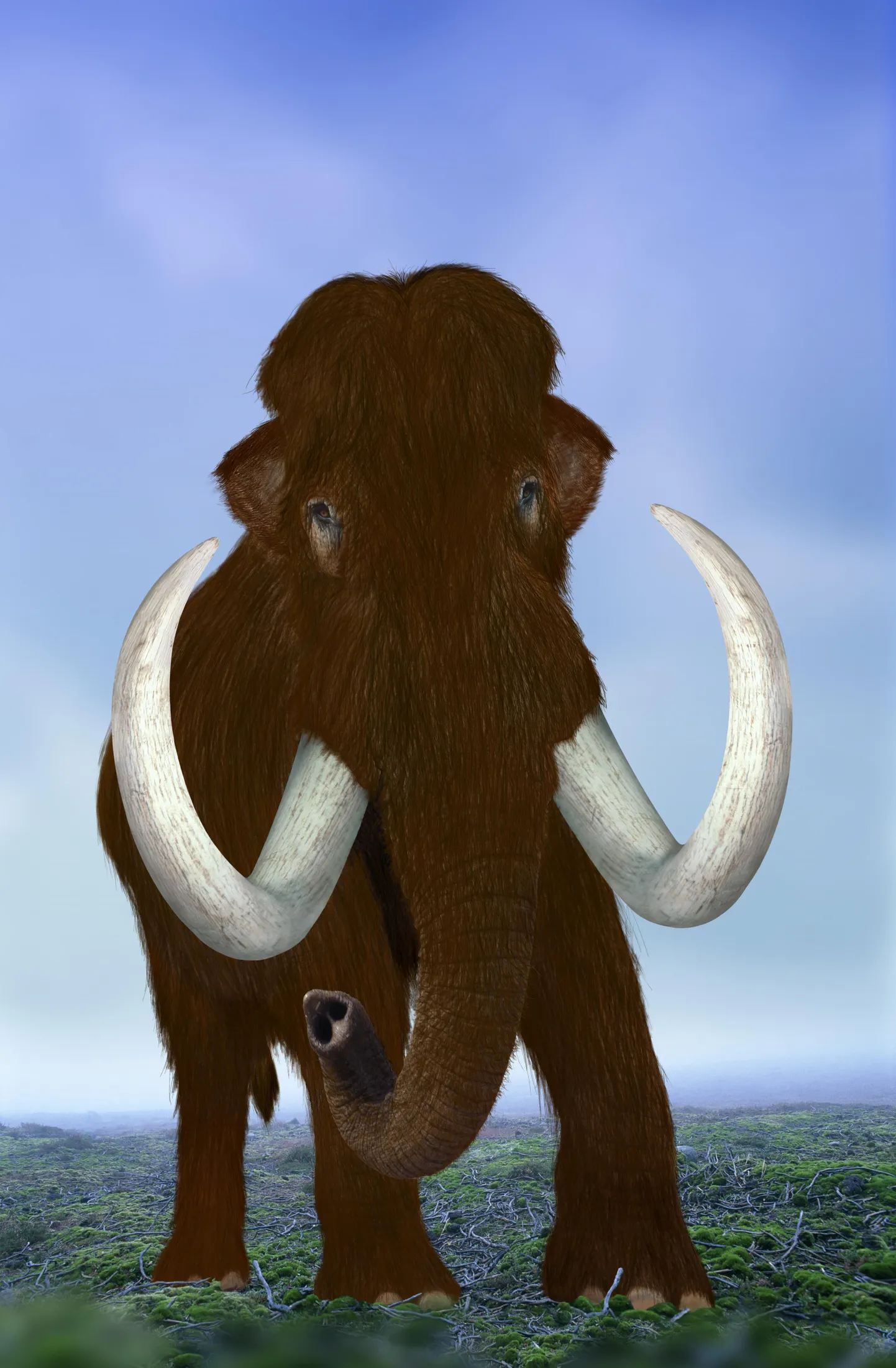 Arvutipilt mammutist.