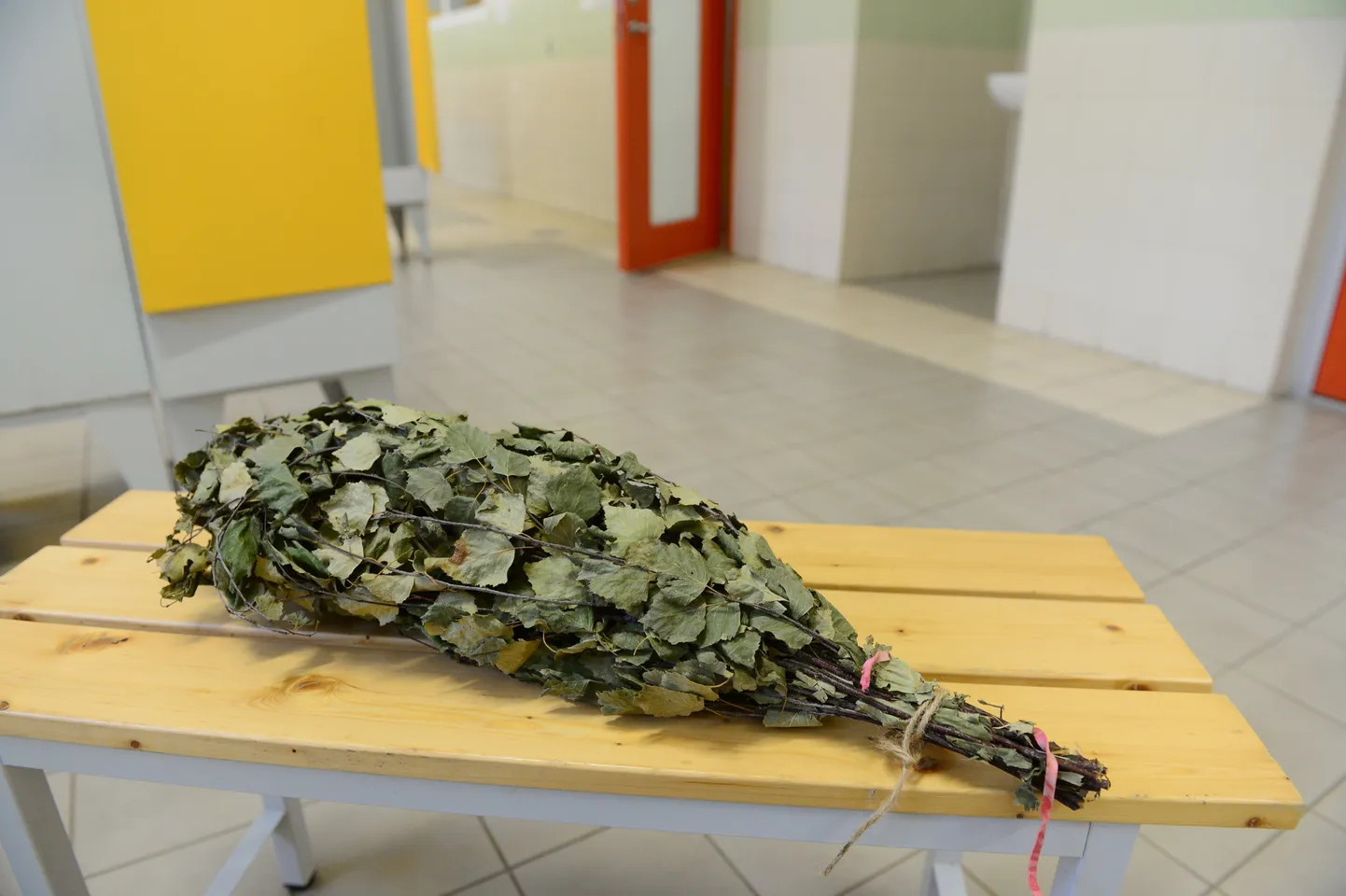 Tartu ainus avalik traditsiooniline saun tähistab täna juubelit.