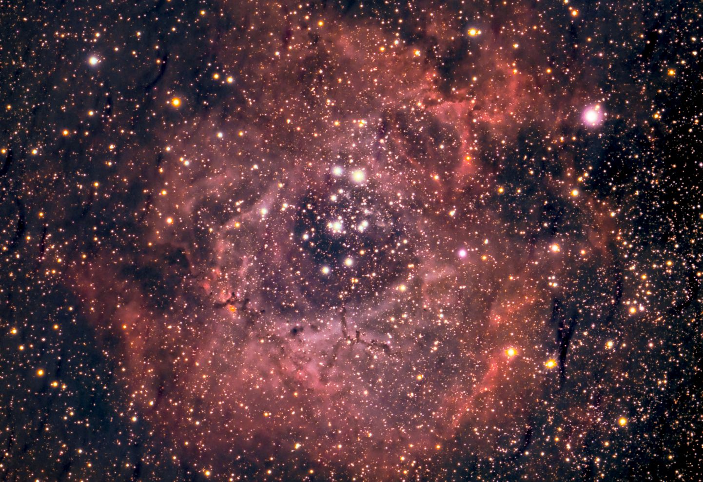 Roseti udukogu, kus asub täheparv NGC 2244.