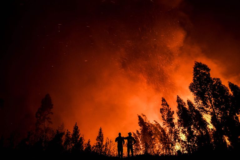 В тушении огня в Португалии участвуют более 800 пожарных.