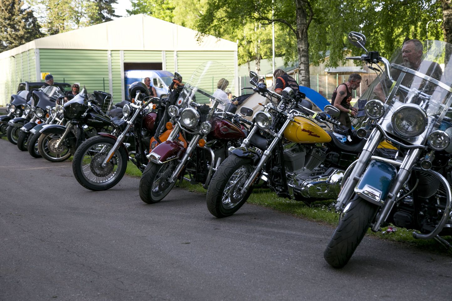 Tallinas toimub sel nädalal üle-euroopalise Harley-Davidson Föderatsiooni liikmete kokkutulek. Fotol olevad inimesed ei ole puhumisreidiga seotud.