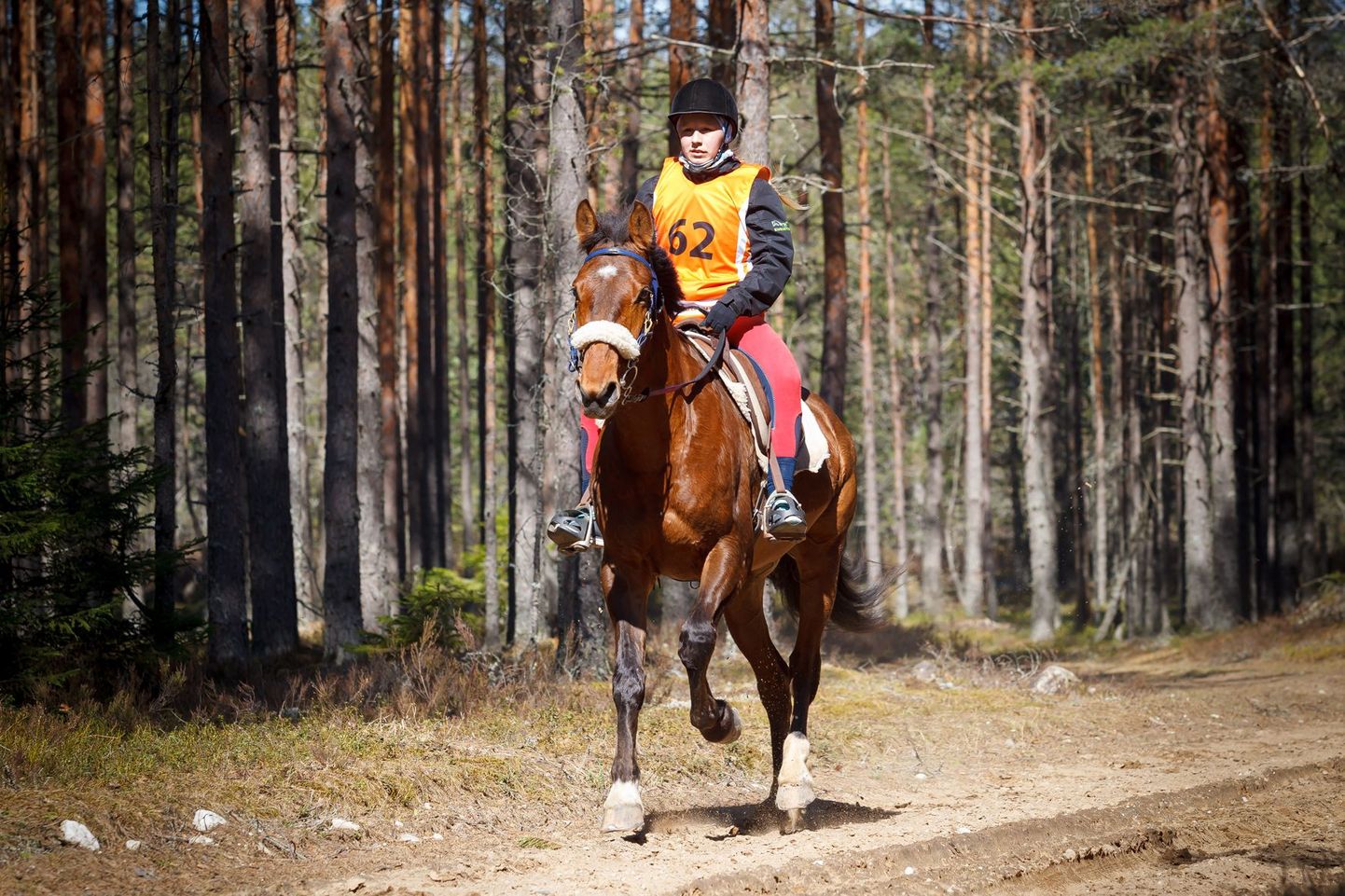2016 a Eesti meister Maria Runno hobusega Playon Kõrvemaal.