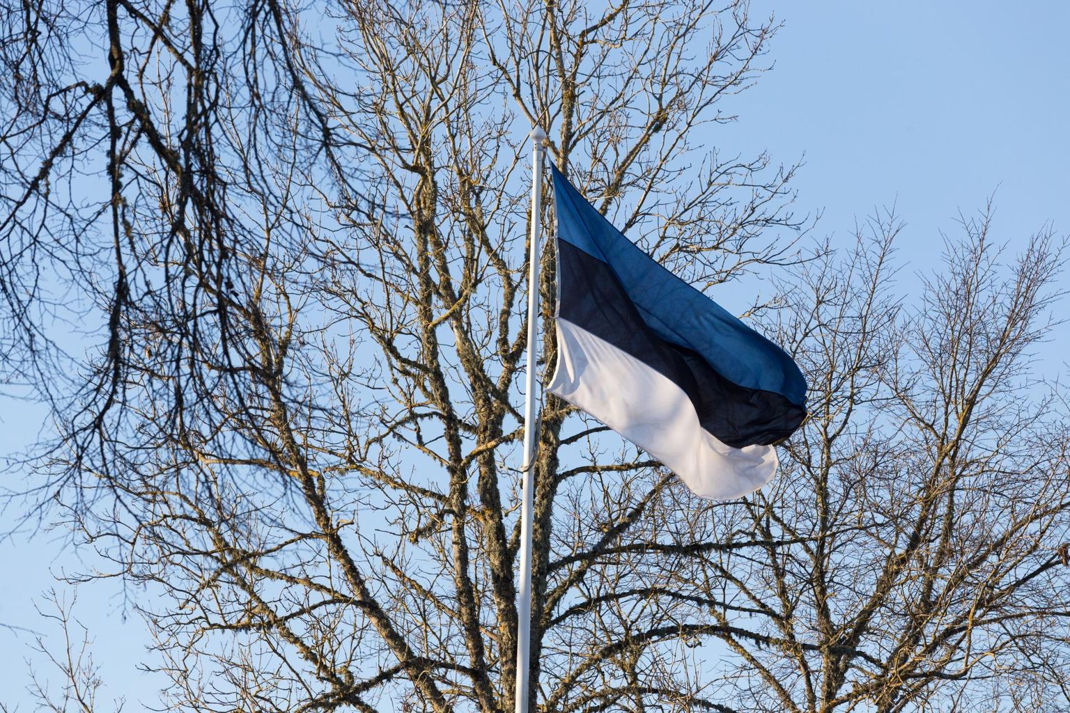 Eesti lipp. Foto on illustreeriv.