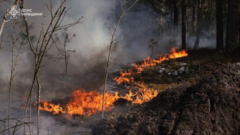 Лесной пожар у Чернобыльской АЭС распространился на еще большую площадь