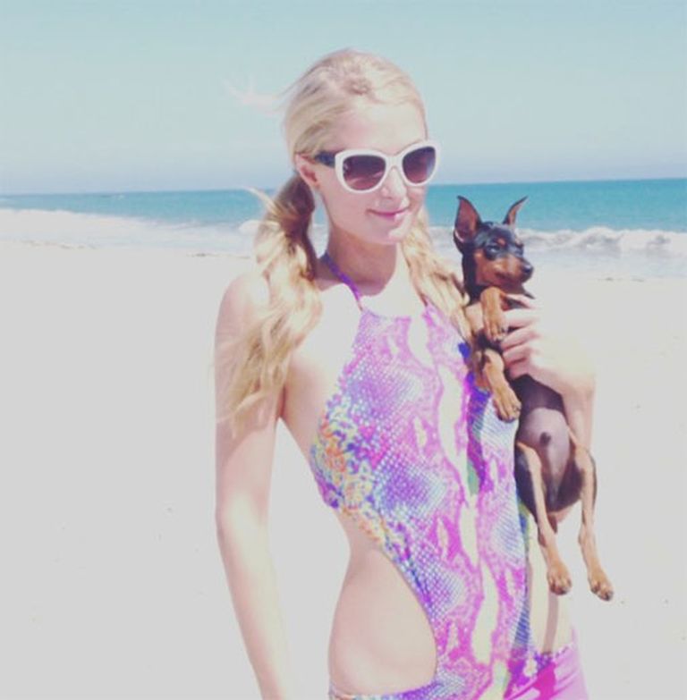 Пэрис Хилтон: "Прекрасный день на пляже вместе с @DollarThePuppy. ;) #Malibu" 