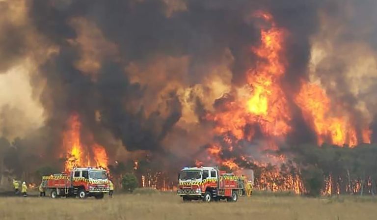 Засуха угрожает не только посевам, но и лесам. Дым от пожаров усиливает парниковый эффект и ускоряет потепление. На фото пожары в Австралии. 