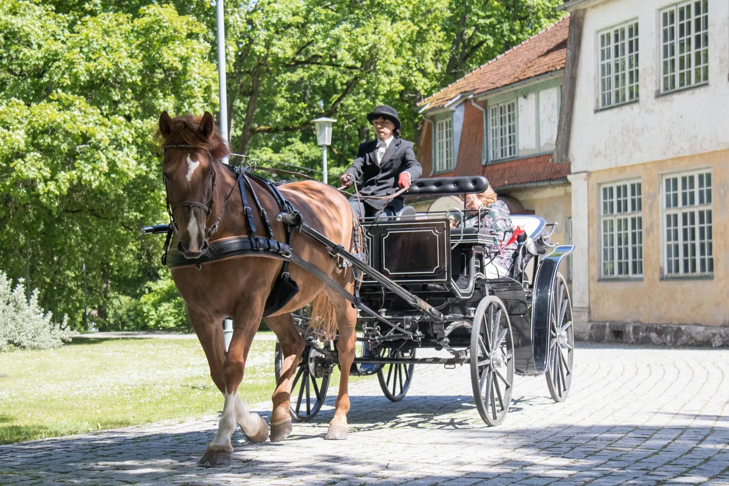 See pilt pärineb mulluselt pargipeolt.