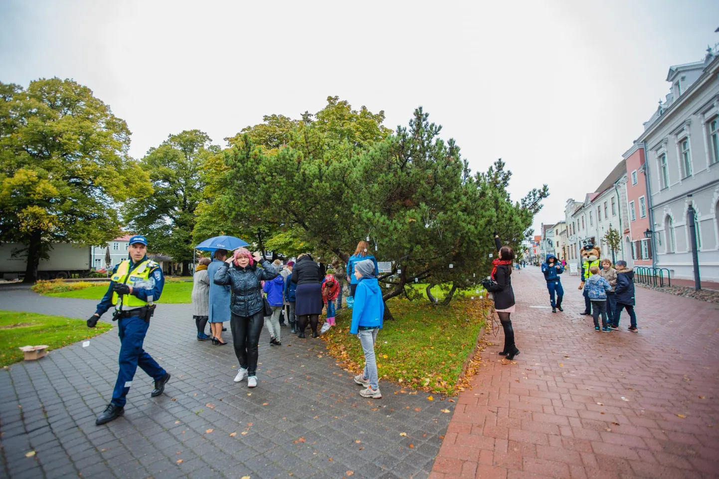 Pärnu Lastepargis ehitakse helkuritega mägimänd.