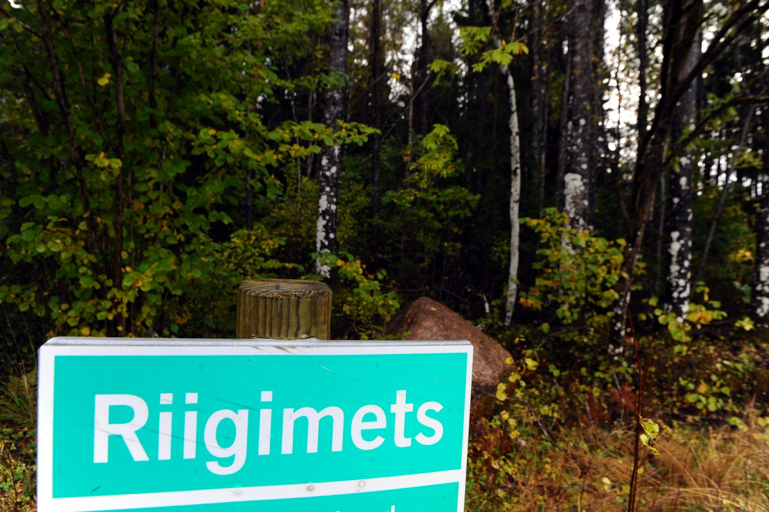 Keskkonnaamet andis eelmise aasta 16. detsembril RMK lageraie tegemiseks kahe hektari suurusel alal Elva vallas Käo metsas.