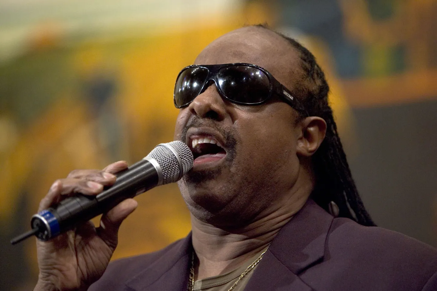 Stevie Wonder
