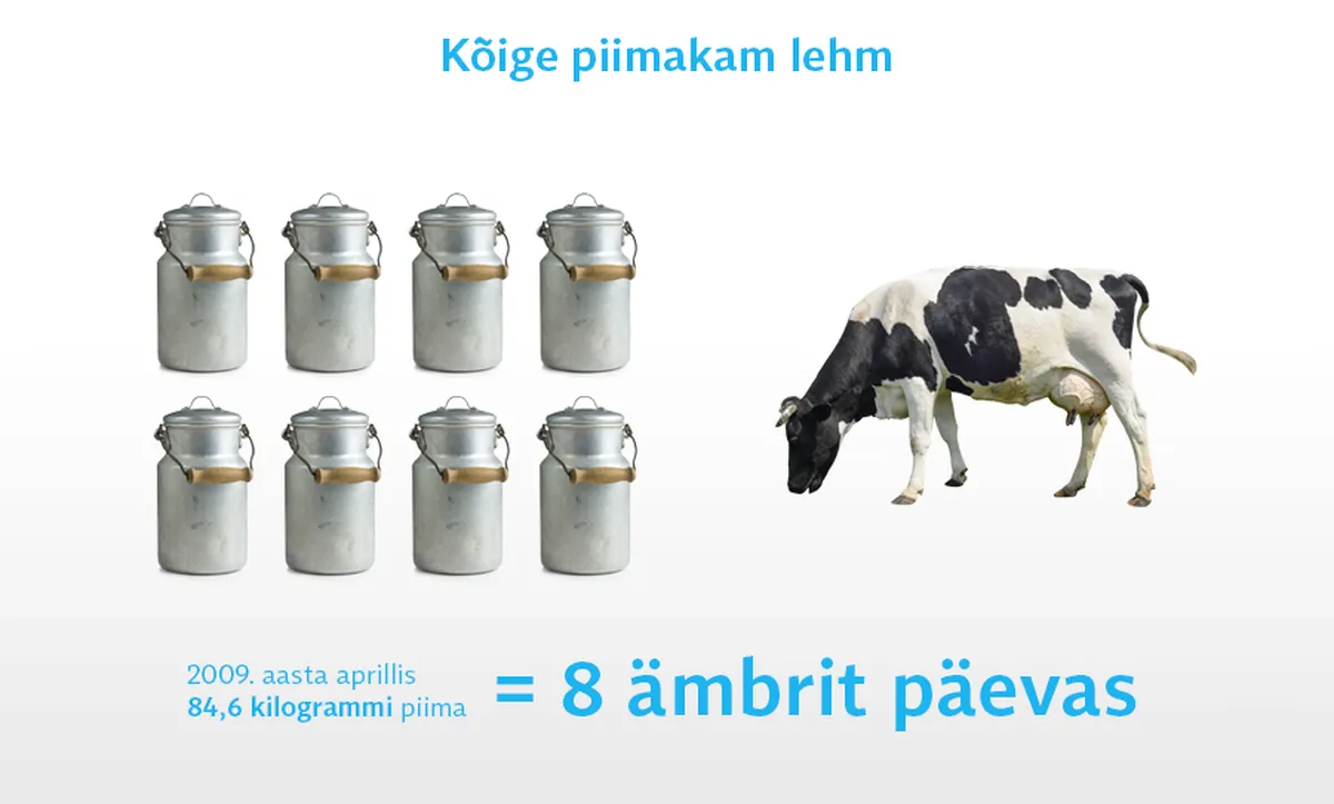 Artikli foto