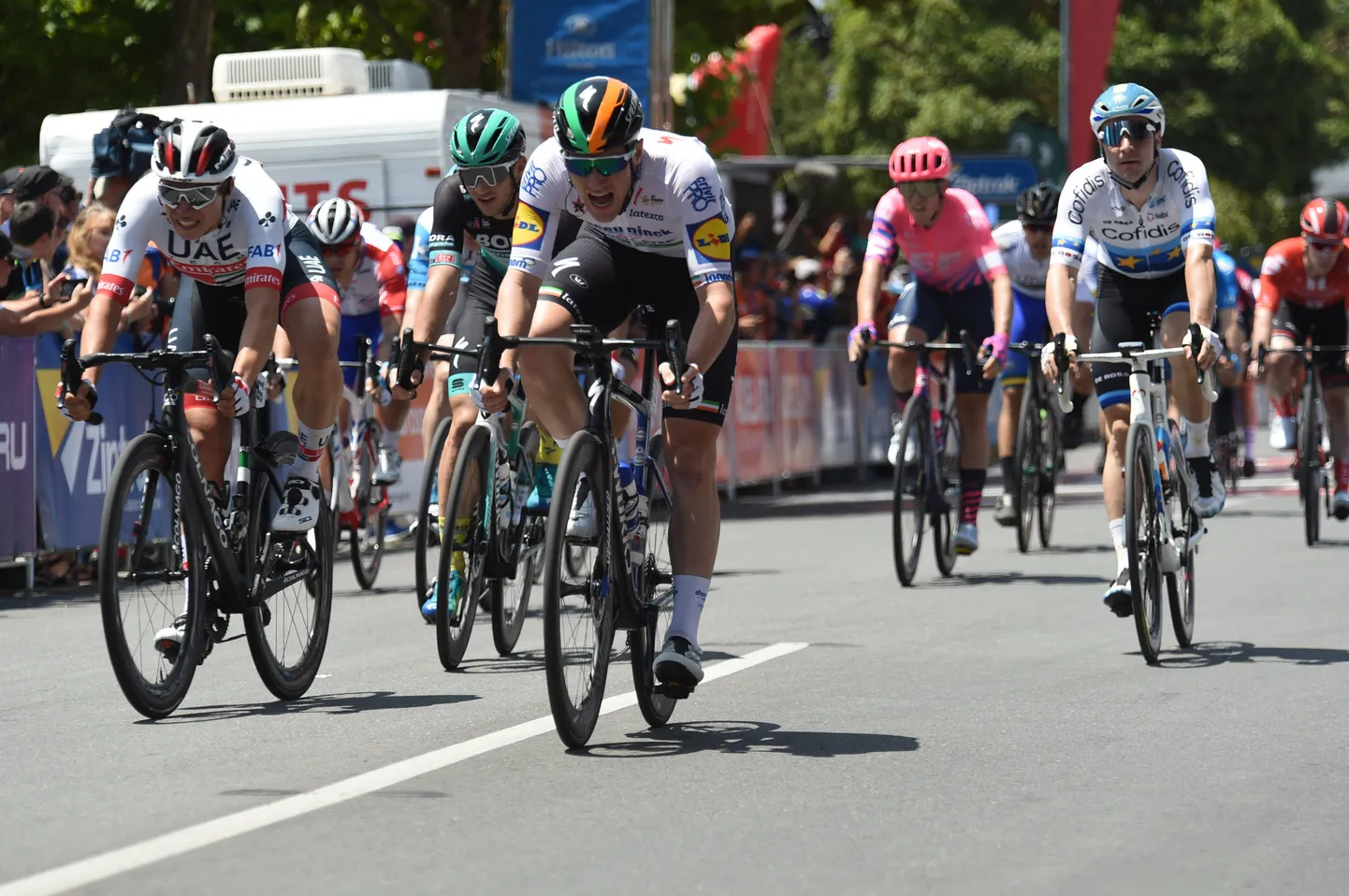 Ratturid UAE velotuuril.