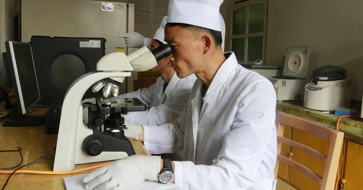 Põhja-Korea üritab sigade Aafrika katku kontrolli alla saada
