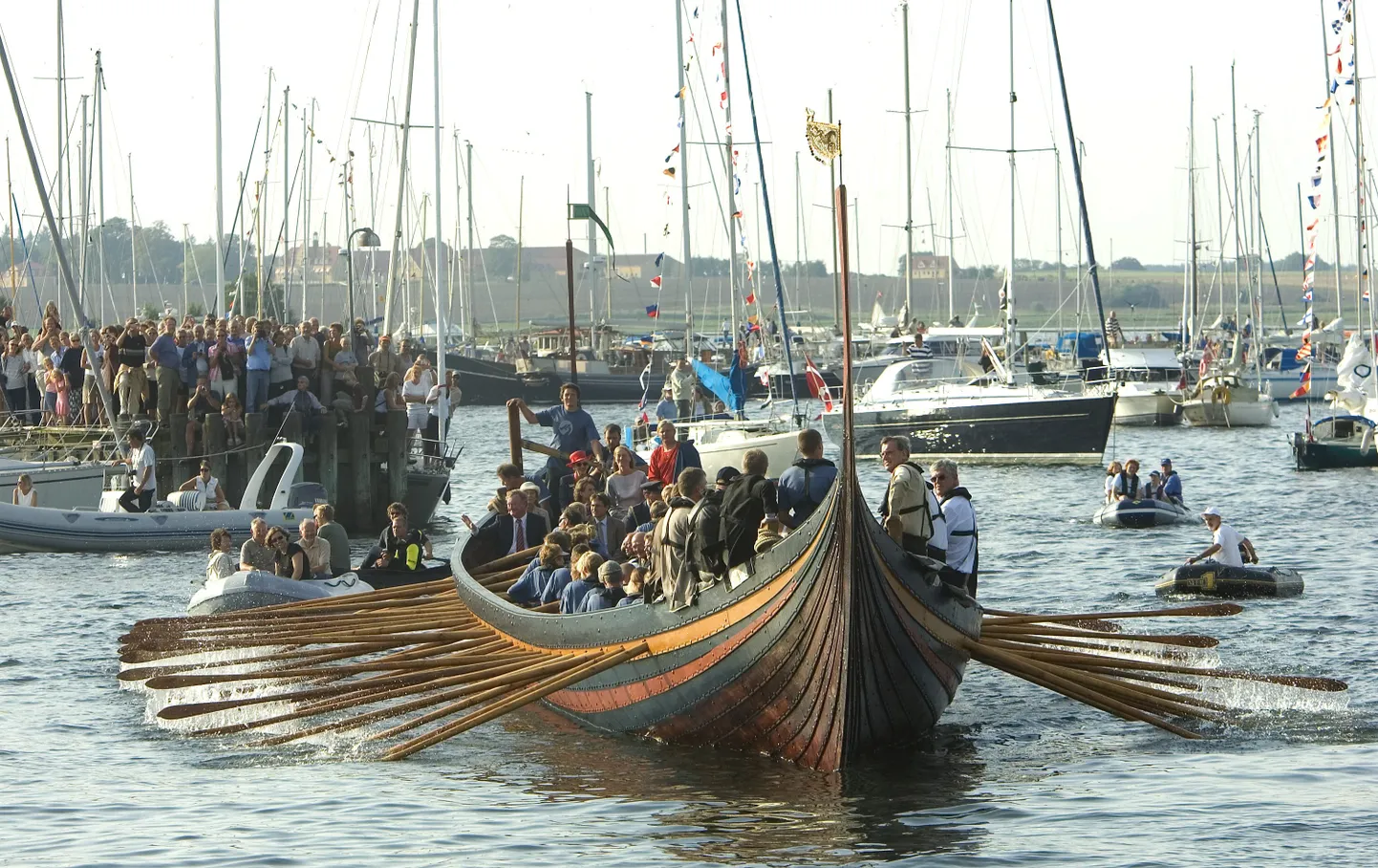 Roskildes viikingimuuseumi alus Skuldelev 2 on Sterni laevaplaanide eeskujuks.