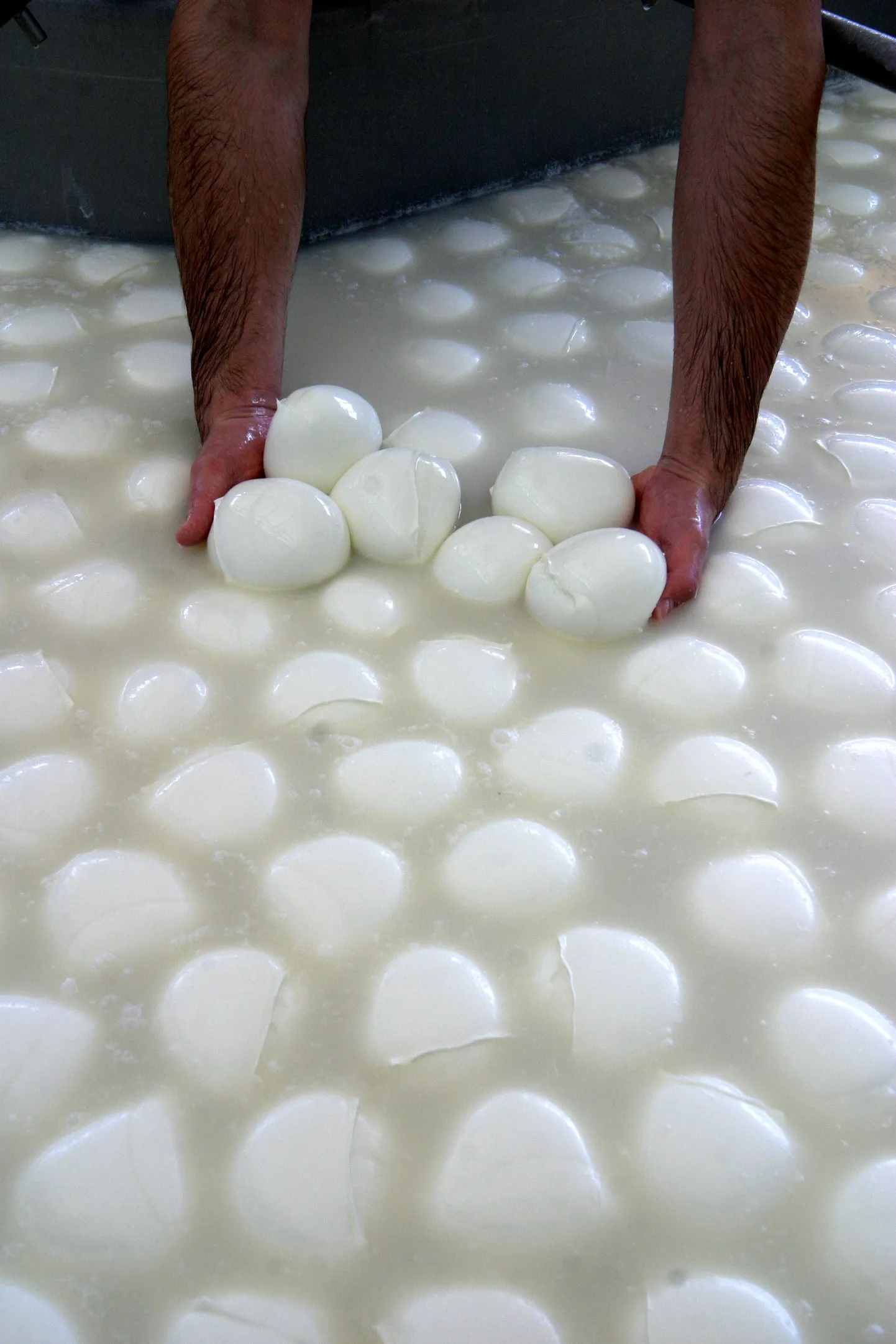 Mozzarella juust