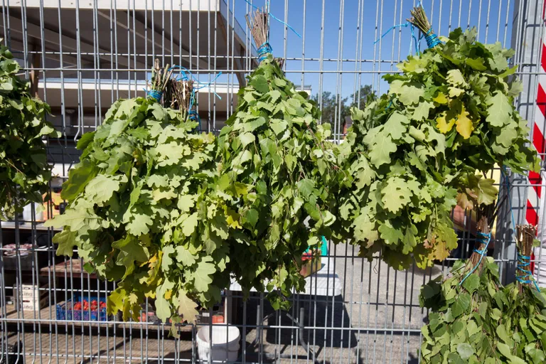 Just praegu on parim aeg vihta teha! Vihad Viljandi turul.