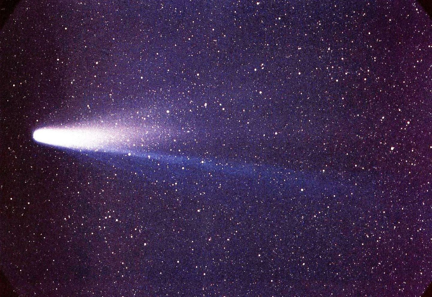 Halley komeet