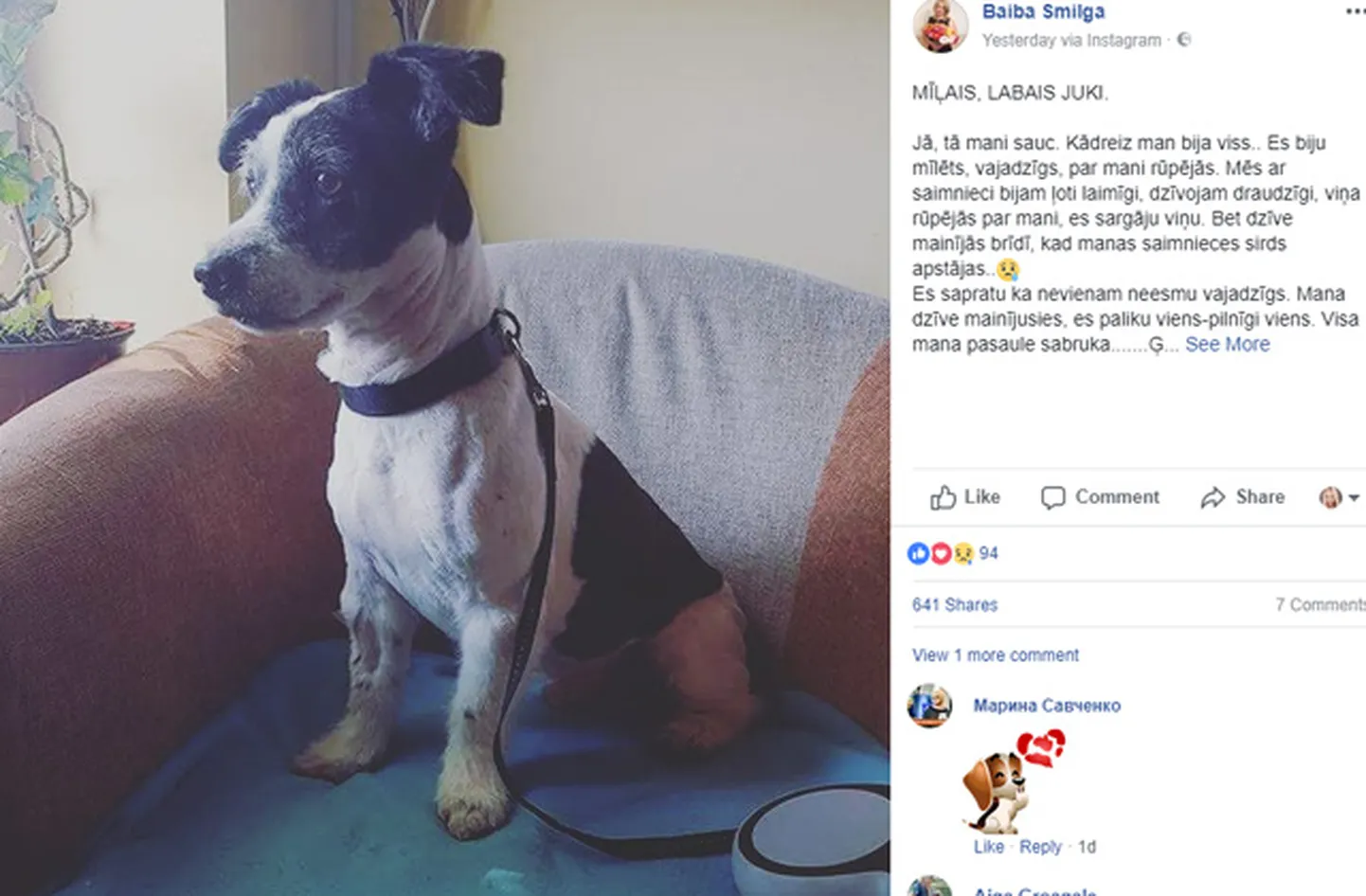 Raksta foto