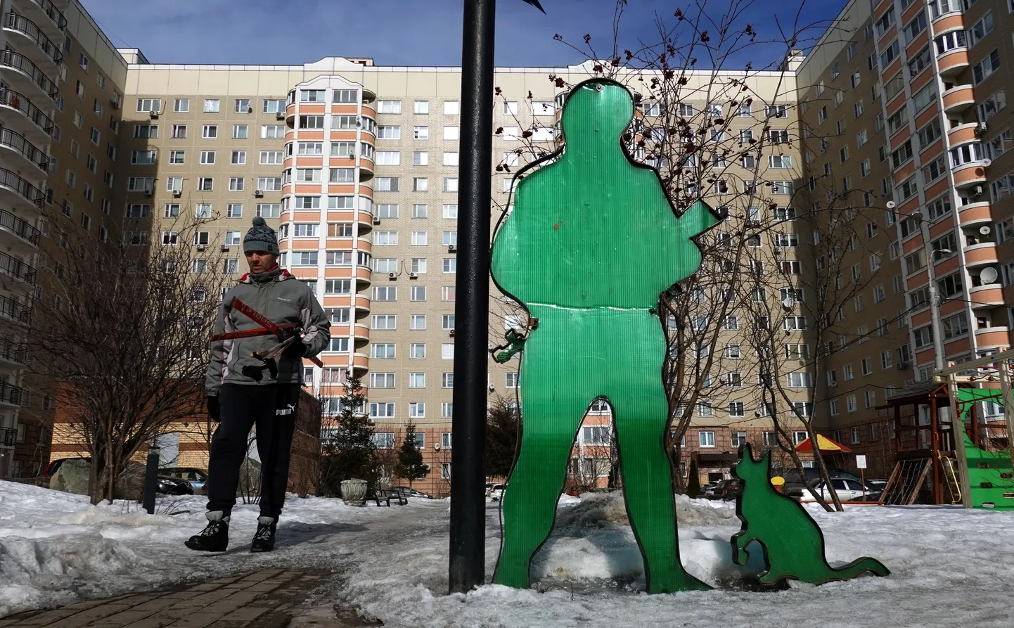 Фото статьи
