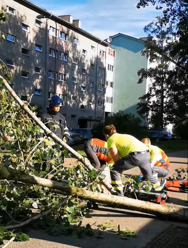 Фото статьи