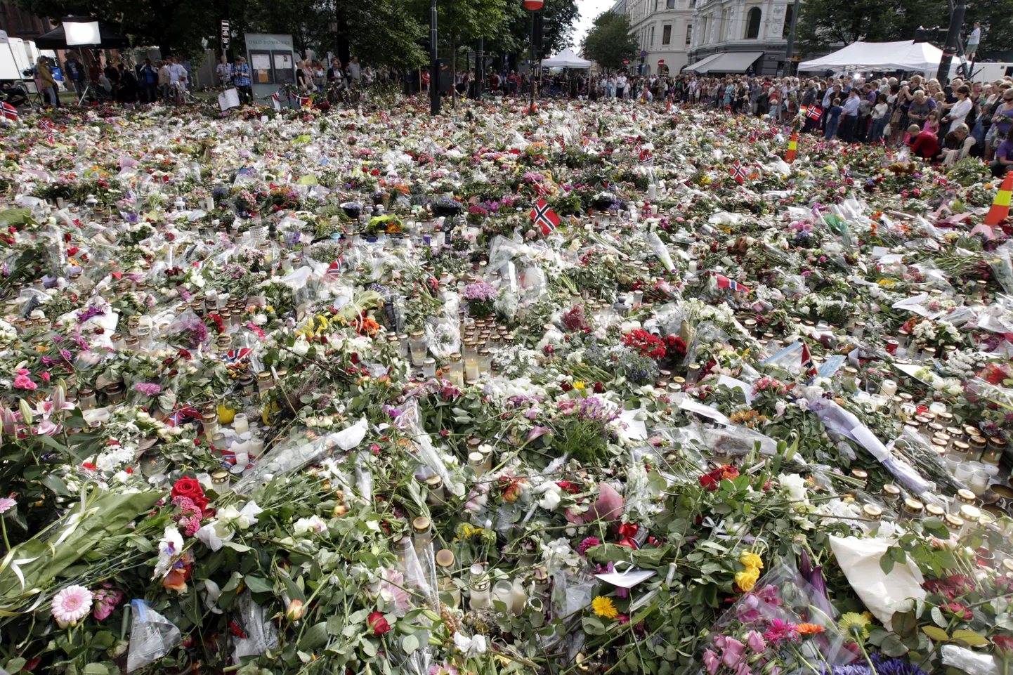 Norralased kogunesid Oslo tänavatele ja Utoya saare lähedusse, et kahes rünnakus hukkunuid mälestada. Leina sümboliks on saanud roosid, mida sajad tuhanded inimesed Oslo katedraali juurde ja plahvatuse asukohta viisid. Lisaks roosidega korraldatud rongkäigule jätkasid norralased kaks õhtut järjest tõrvikutega marssi.