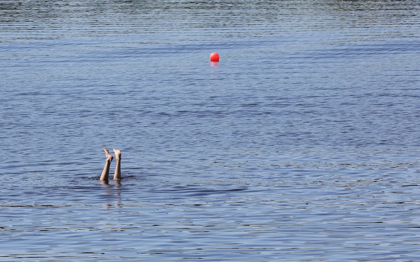 Человек купается в озере