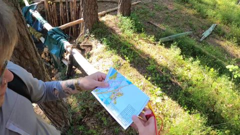 Väätsal läheb täna orienteerumiseks
