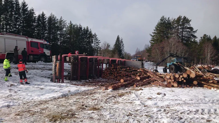 Pärnumaal sõitis palgikoormaga veoauto teelt välja. Foto:
